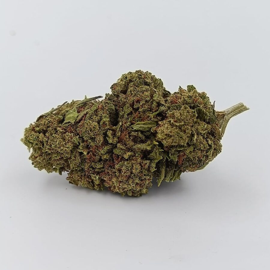 Néo Thunder – Image 2